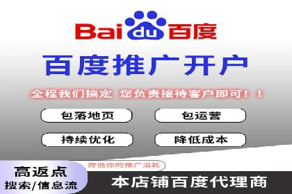 行业领先的SEM竞价广告投放案例